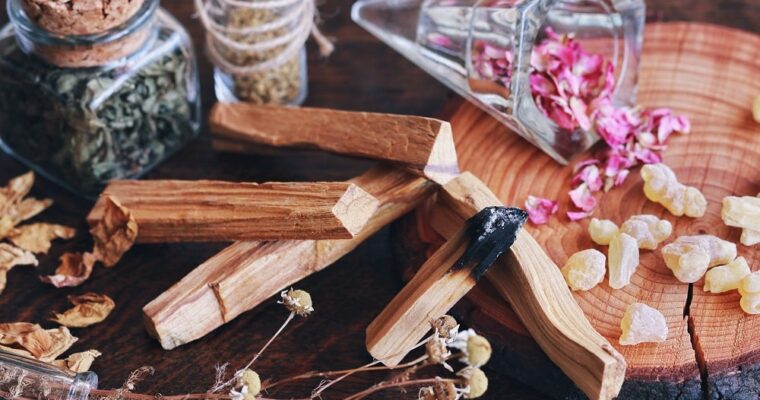 Le Palo Santo : propriétés et bénéfices de son bois précieux