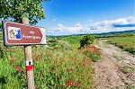 via francigena - itineraire de pelerinage