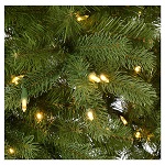 Sapin de Noël 210 cm Bayberry Prelit 9 fonctions avec éclairage